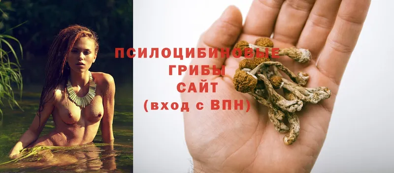 shop клад  Медынь  Галлюциногенные грибы мухоморы 